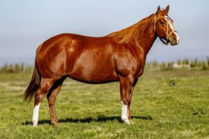 LOTE 4 LR BLANCANIEVES