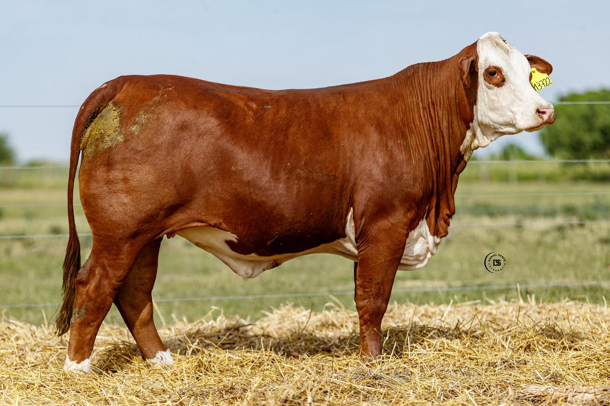 LOTE 20 RP 13722 BRAFORD