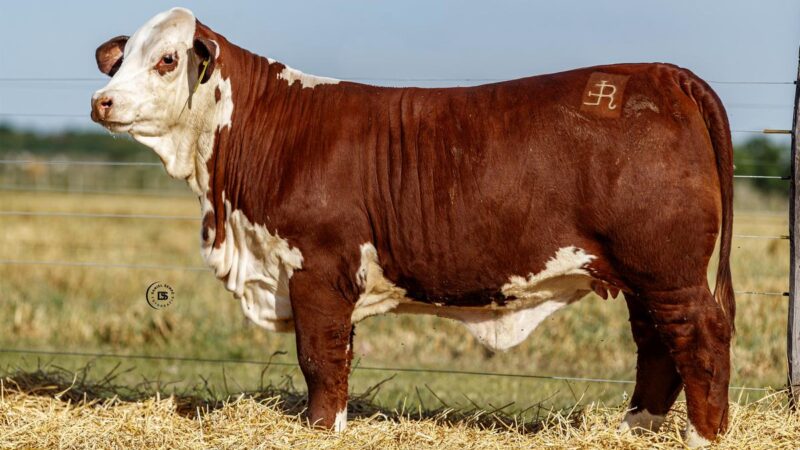 LOTE 23 RP 14312 BRAFORD