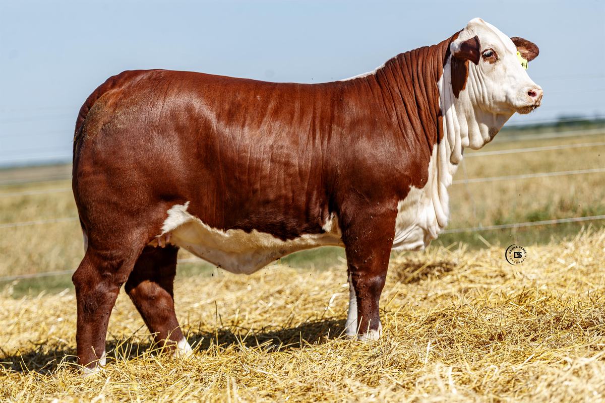 LOTE 21 RP 14314 BRAFORD